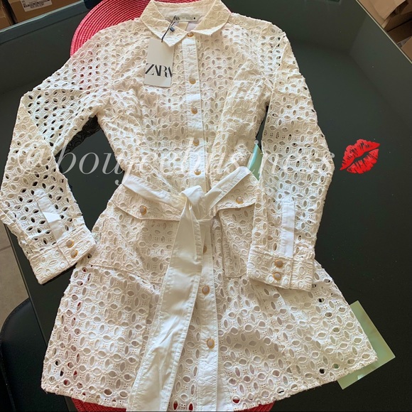 ZARA BNWT Openwork Embroidered Dress with Cuffed Sleeve - Picture 12 of 13